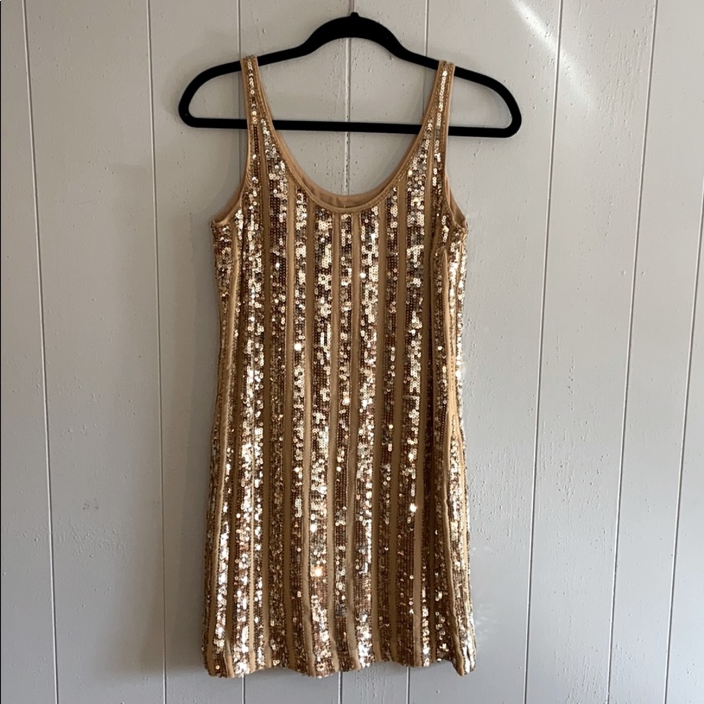 NWT Gold sequin stripe dress